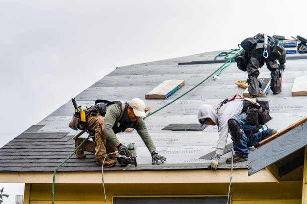 Professional Storm Damage Roof Repair technician working in Hamlin, IA